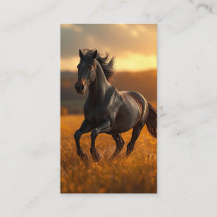Majestieke Zwarte Hengst Paard Herfst Zonsondergan Visitekaartje