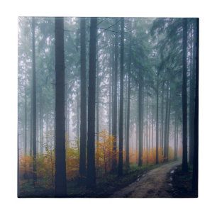 Majestueus bos met bomen omzoomd pad tegeltje