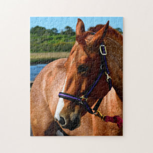 Majestueus paard legpuzzel