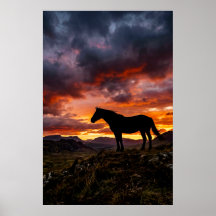 Majestueus Paard Silhouet Zonsondergang Poster | L