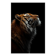 Majestueus Tijger Portret, Kracht Koninklijk Vertr