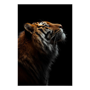 Majestueus Tijger Portret, Kracht Koninklijk Vertr Perfect Poster