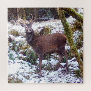 Majestueus winter hert besneeuwd bos natuur landsc legpuzzel