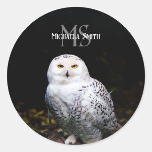 Majestueus winter sneeuwuil monogram aangepaste na ronde sticker