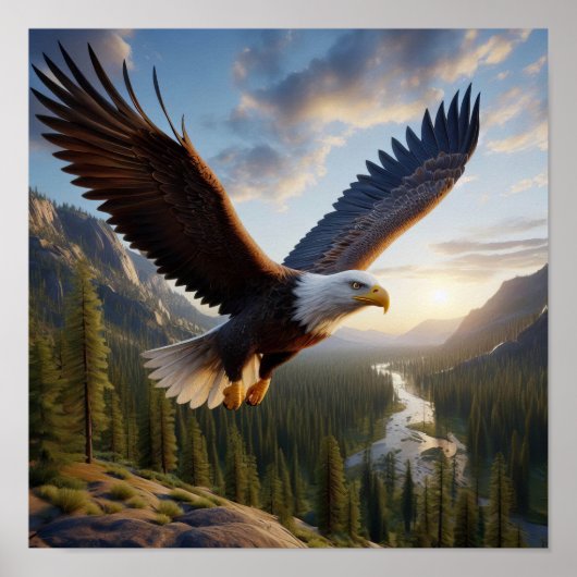 Majestueuze Bald Eagle in de ongerepte wildernis Poster (Voorkant)