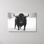 Majestueuze Black Bull in het winterse sneeuwveld Canvas Afdruk (Voorkant)