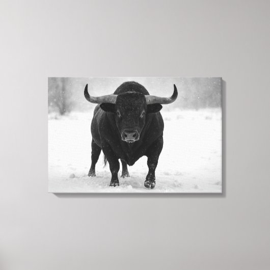 Majestueuze Black Bull in het winterse sneeuwveld Canvas Afdruk (Voorkant)
