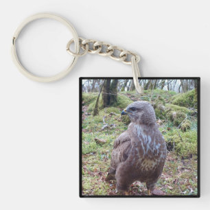 Majestueuze Buizerd Zijdelingse Blik Bos Roofvogel Sleutelhanger