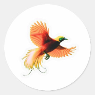 Majestueuze Cendrawasih-vogelsticker - Indonesisch Ronde Sticker