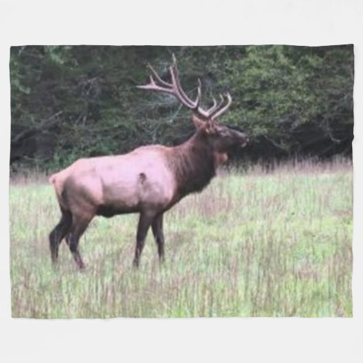 MAJESTUEUZE ELK FLEECE DEKEN (Voorkant (Horizontaal))