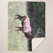 MAJESTUEUZE ELK SHERPA DEKEN (Voorkant)