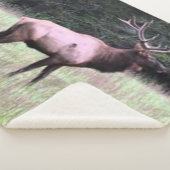 MAJESTUEUZE ELK SHERPA DEKEN (3/4)