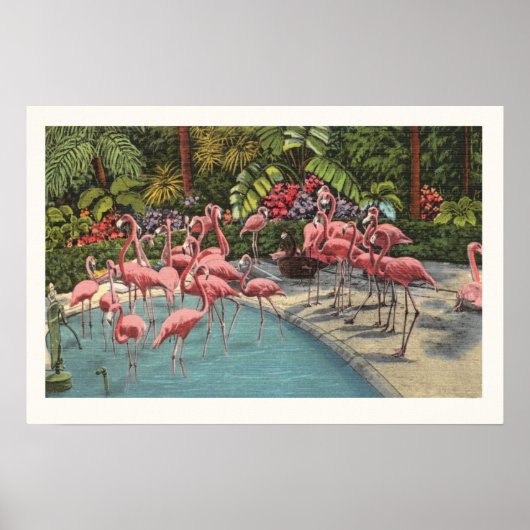 Majestueuze Flamingo Print (Voorkant)