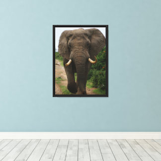 Majestueuze olifant op safaripad Krachtige dieren Canvas Afdruk