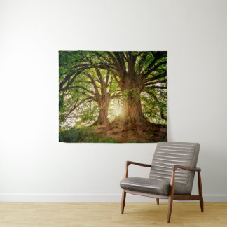 Majestueuze oude eikenbomen in een door de zon ver wandkleed
