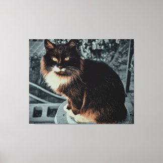 Majestueuze pluizige kat op een voetstuk canvas afdruk