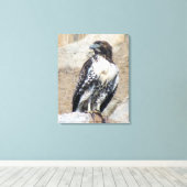 Majestueuze roodstaarthavik gewikkeld canvas (Insitu (Houten vloer))