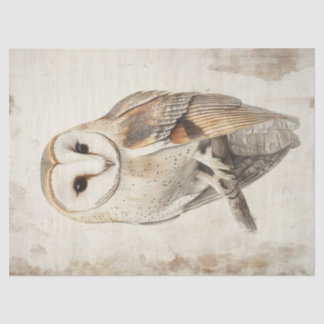Majestueuze schuur uil Vintage Decoupage Bird Art Tissuepapier