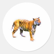 Majestueuze Sumatraanse Tijger - Bedreigde Natuuro