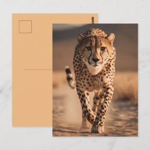 Majestueuze Wilde Jachtluipaard Rennen Foto Briefkaart