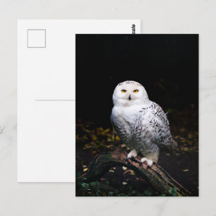 Majestueuze winter sneeuwuil briefkaart