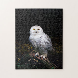 Majestueuze winter sneeuwuil legpuzzel