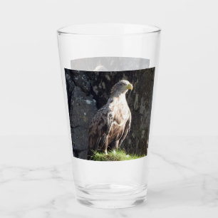 Majestueuze Witstaartarend Ruige Klifrand Wild Glas