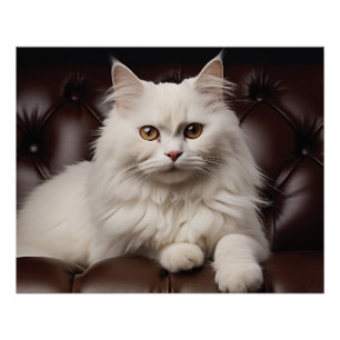 Majestueuze witte kat perfect poster