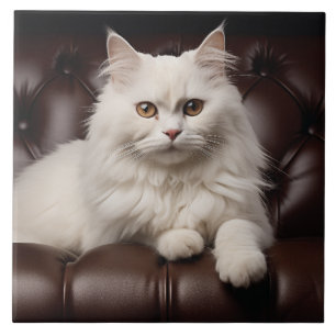 Majestueuze witte kat tegeltje