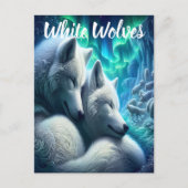 Majestueuze witte wolven rusten briefkaart (Voorkant)
