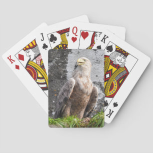 Majestueuze Zeearend Schotse Hooglanden Pokerkaarten