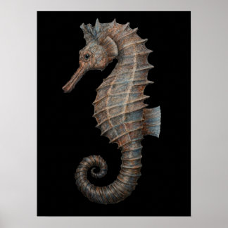 Majestueuze Zeepaard Poster