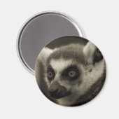 maki-gezicht magneet (Voorkant / Achterkant)