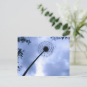 Makin' Wishes Briefkaart (Staand voorkant)