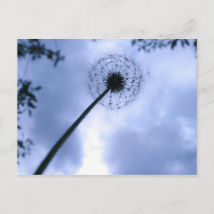 Makin' Wishes Briefkaart