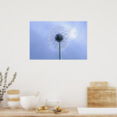 Makin' Wishes Poster (Keuken)