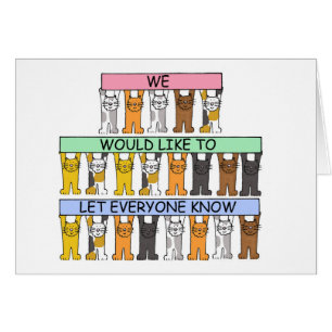 Making an Announcement Cartoon Cats