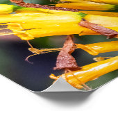 Making Contact Poster (Hoek)