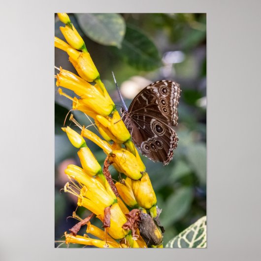 Making Contact Poster (Voorkant)