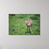 Making Face Canvas Afdruk (Voorkant)