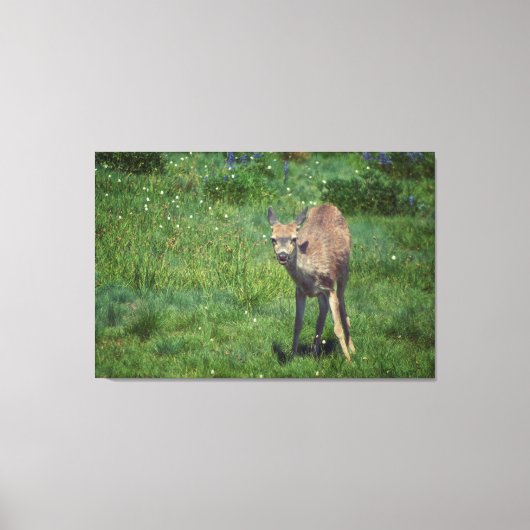 Making Face Canvas Afdruk (Voorkant)