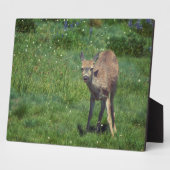 Making Face Fotoplaat (Zijkant)