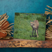 Making Face Fotoplaat (Zijkant)