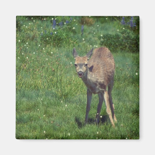 Making Face Magneet (Voorkant)