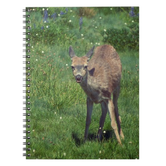 Making Face Notitieboek (Voorkant)