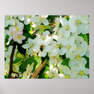 Making Honey Poster