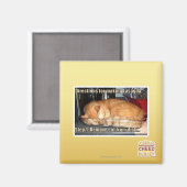 Making lasagna magneet (Voorkant / Achterkant)