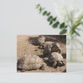 Making Love Briefkaart (Staand voorkant)