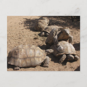 Making Love Briefkaart