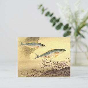 Makreel in de Oceaan, Vintage Japonisme Kunst Briefkaart